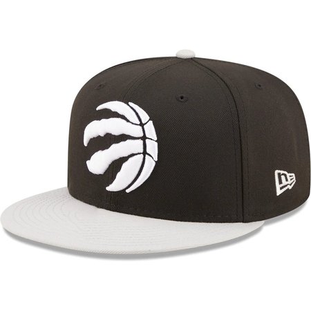 Toronto Raptors Snapback Hat